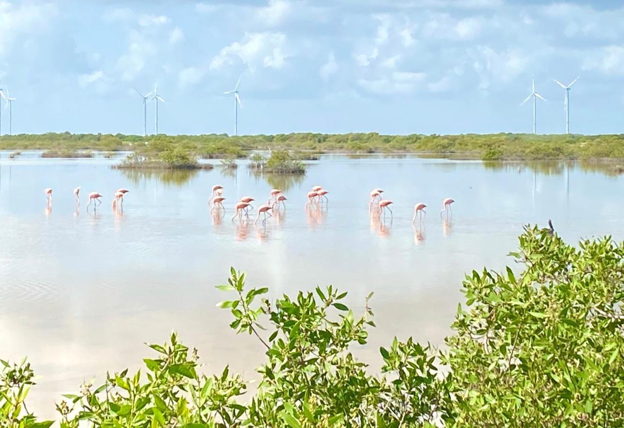 Vila La Casa Del Mangle Pueblo Pueblo Chicxulub Exteriér fotografie