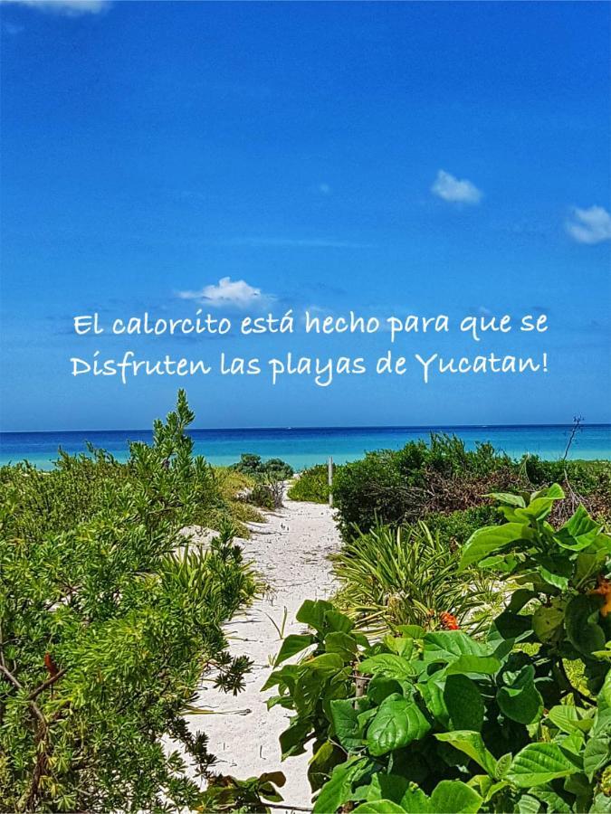 Vila La Casa Del Mangle Pueblo Pueblo Chicxulub Exteriér fotografie