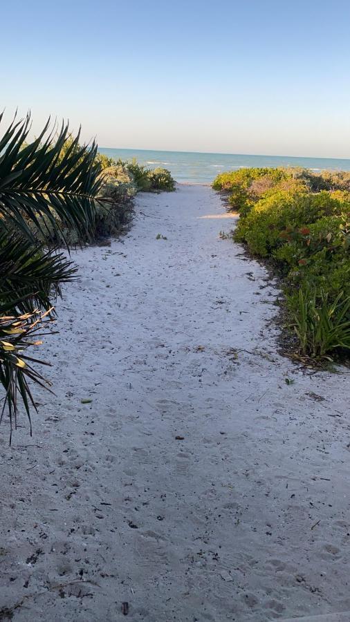 Vila La Casa Del Mangle Pueblo Pueblo Chicxulub Exteriér fotografie