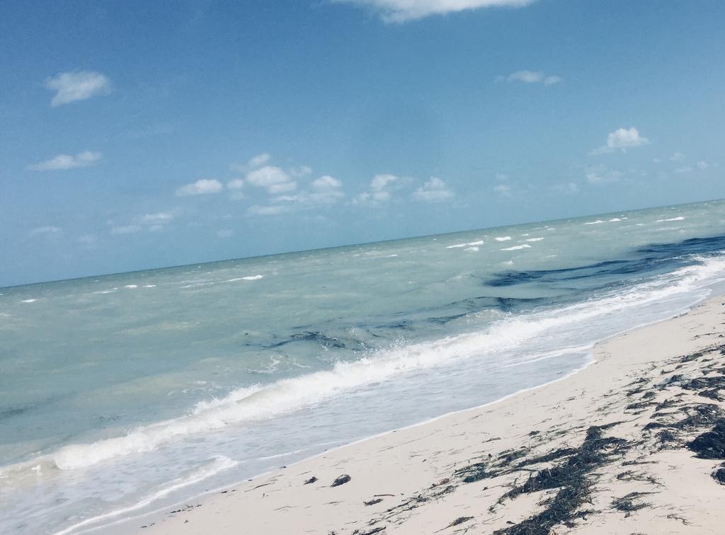 Vila La Casa Del Mangle Pueblo Pueblo Chicxulub Exteriér fotografie