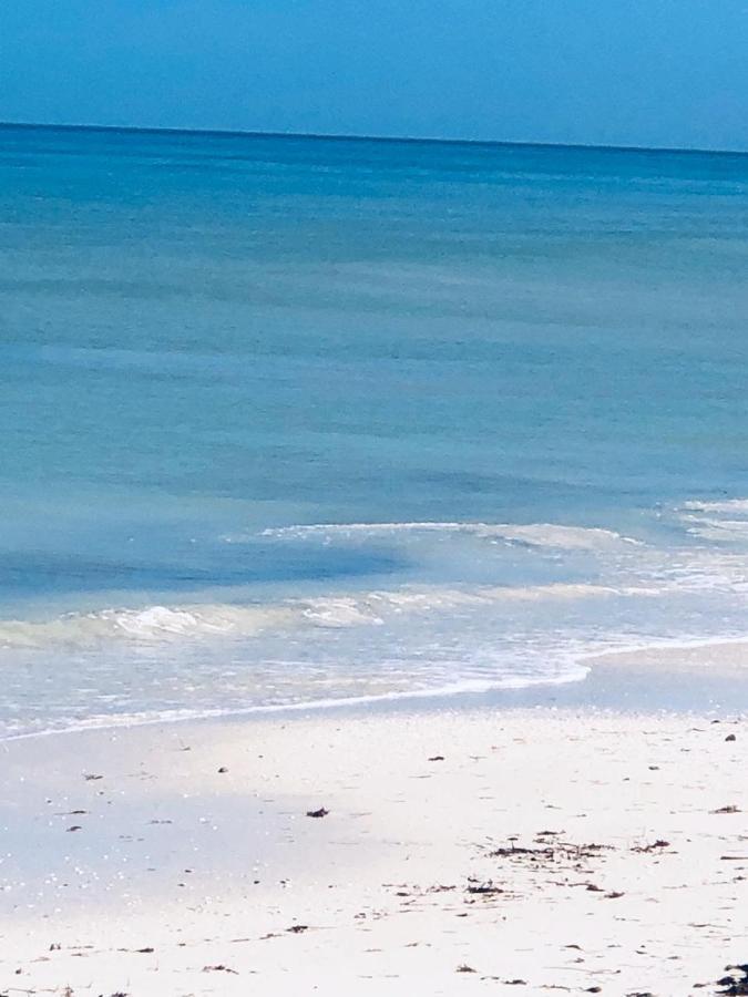 Vila La Casa Del Mangle Pueblo Pueblo Chicxulub Exteriér fotografie